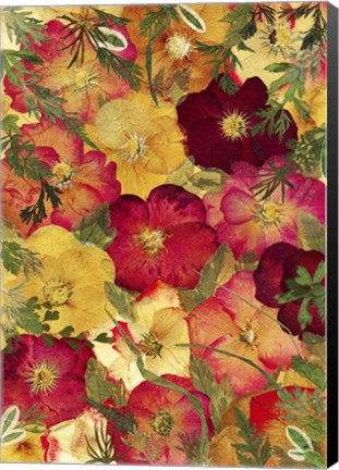 Framed Dried Flowers 30 Print