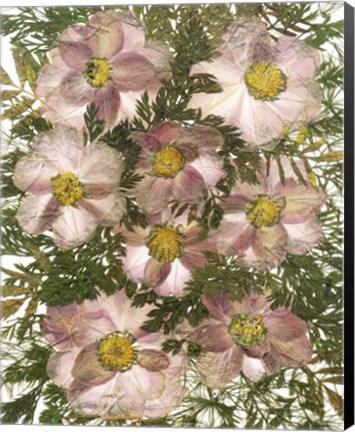 Framed Dried Flowers 32 Print