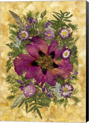 Framed Dried Flowers 33 Print