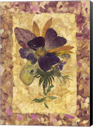 Framed Dried Flowers 34 Print
