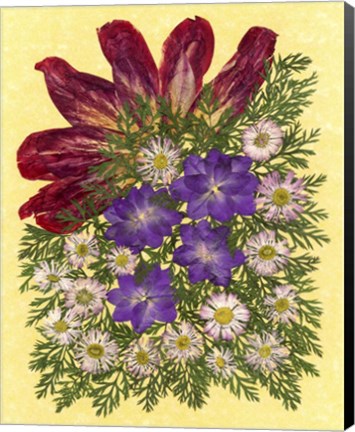 Framed Dried Flowers 35 Print