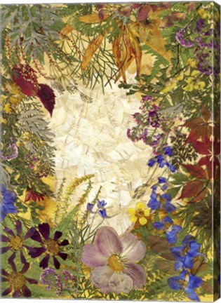 Framed Dried Flowers 37 Print