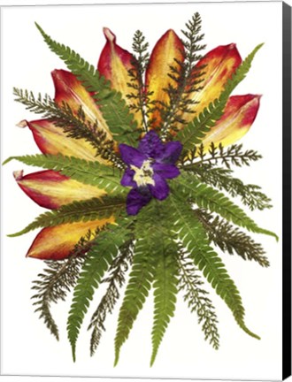Framed Dried Flowers 39 Print