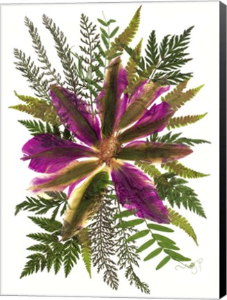 Framed Dried Flowers 40 Print