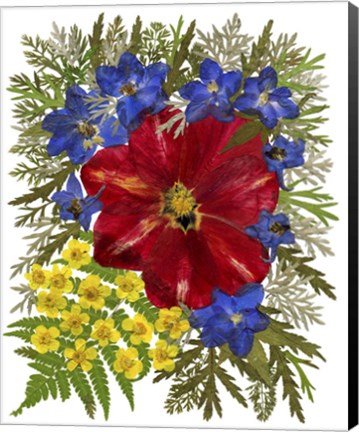 Framed Dried Flowers 41 Print