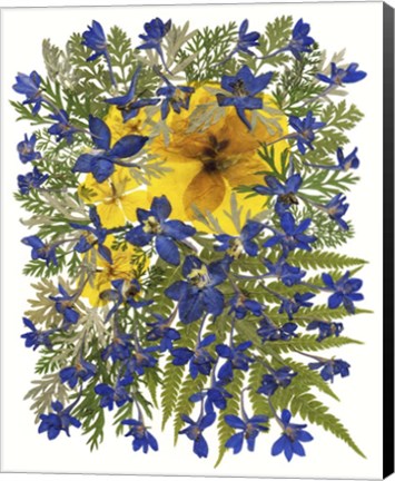 Framed Dried Flowers 42 Print