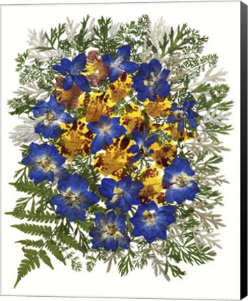 Framed Dried Flowers 43 Print