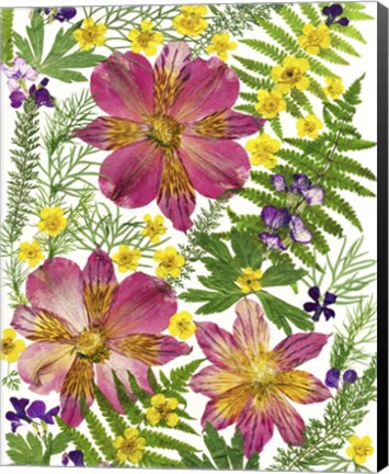 Framed Dried Flowers 45 Print