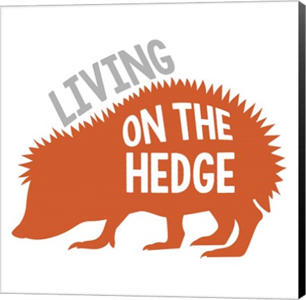 Framed Hedgehog Print