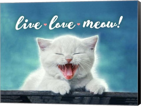Framed Live Love Meow Print