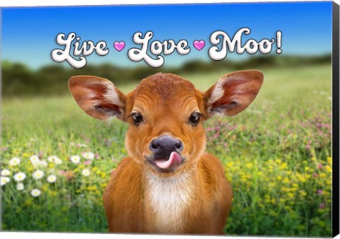 Framed Live Love Moo Print