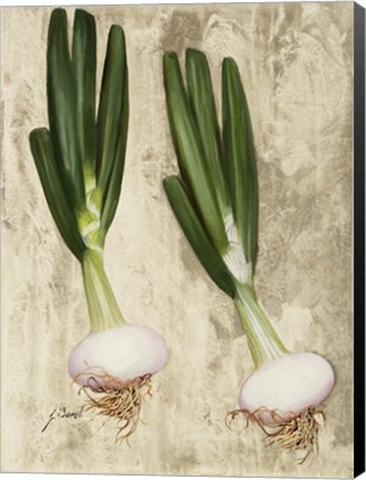 Framed Cipollotti Print