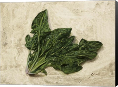 Framed Spinaci Print