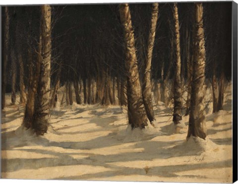 Framed Neve Di Notte Nel Bosco Print
