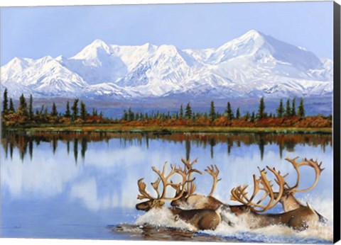 Framed Mount Denili E I Caribou Print