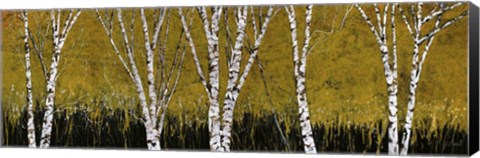 Framed Betulle A Sfondo Giallo Print
