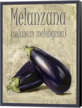 Framed Melanzana Solanum Melongena Print