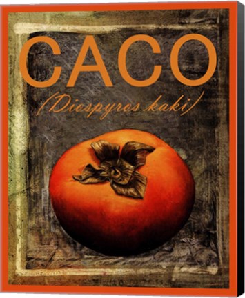 Framed Diospyros Kaki Print