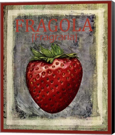 Framed Fragola Fragraria Print