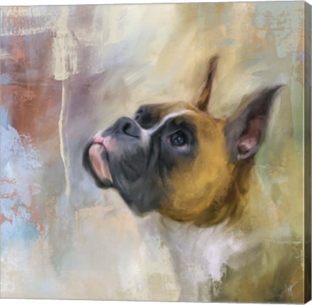 Framed Flashy Fawn Boxer Print