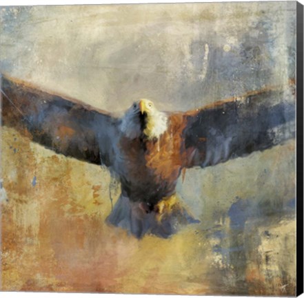 Framed Overhead Print