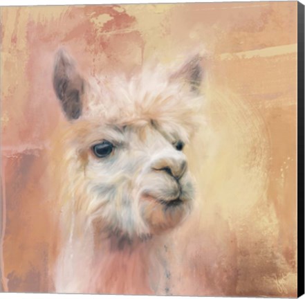 Framed Charismatic Alpaca Print