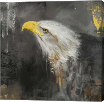 Framed Mighty Bald Eagle Print