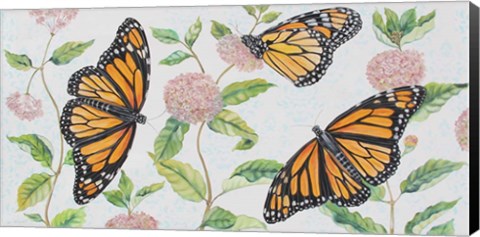 Framed Monarch Majesty Print