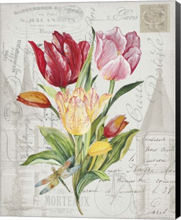 Framed Bouquet Francais E Print