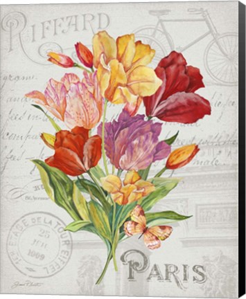 Framed Bouquet Francais F Print