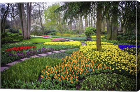 Framed Colorful Corner Keukenhof Tulips Garden 4 Print