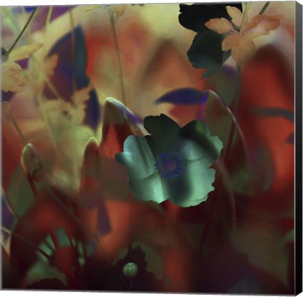 Framed Moonlight Waltz of Flowers Print