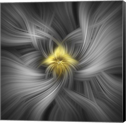 Framed Mystery of Colors Silver And Gold Print