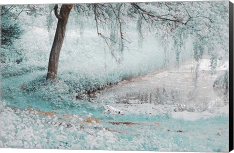 Framed Pond Under the Shadow Willow Print