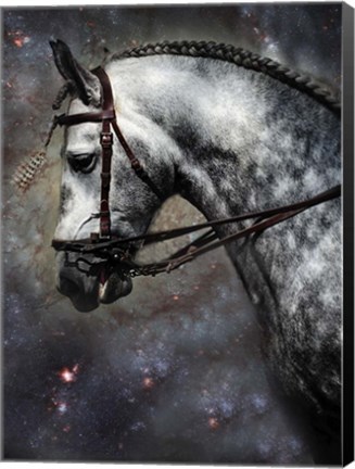 Framed Horse Among the Stars Print