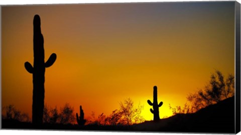 Framed Desert Sunset Print