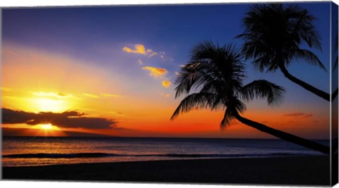 Framed Palm Trees Sunset Print