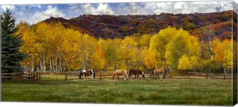 Framed Colorado Farm Print
