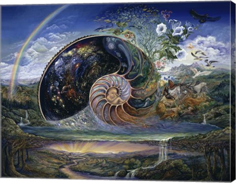 Framed Nautilus Print