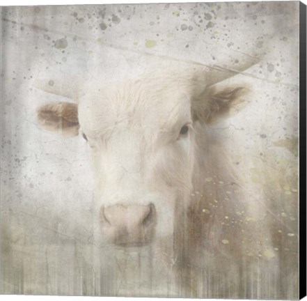 Framed Antique Farm 07 Print