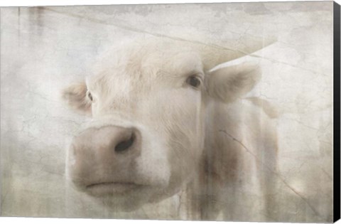 Framed Antique Farm 18 Print