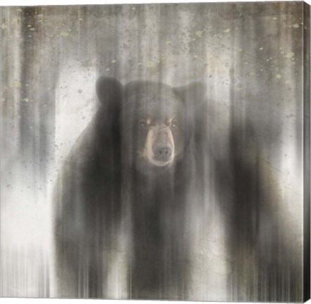 Framed Antique Wildlife bear Print