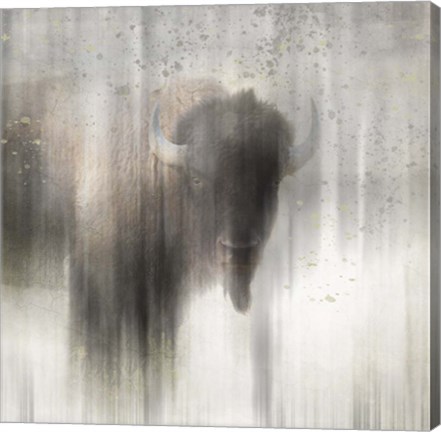 Framed Antique Wildlife Buffalo Print