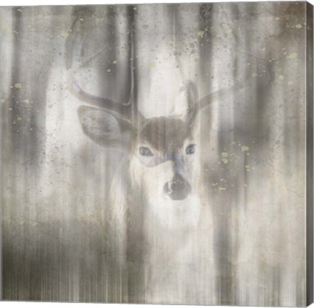 Framed Antique Wildlife Deer 01 Print