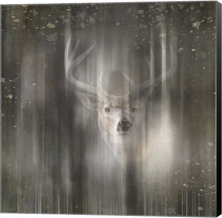 Framed Antique Wildlife Deer 02 Print