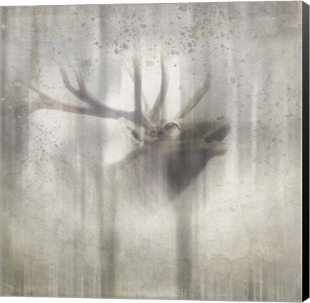 Framed Antique Wildlife Elk 2 Print