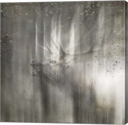 Framed Antique Wildlife Elk Print