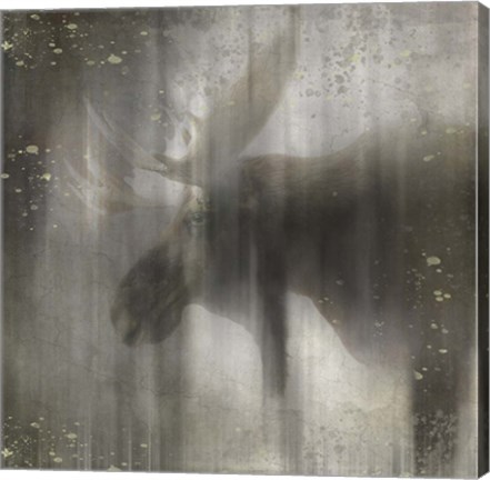 Framed Antique Wildlife Moose Print