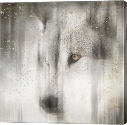 Framed Antique Wildlife Wolf Print