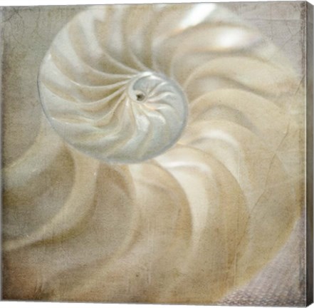 Framed Under the Sea 01 Print